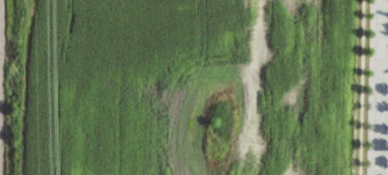 Trumpet Park Dr