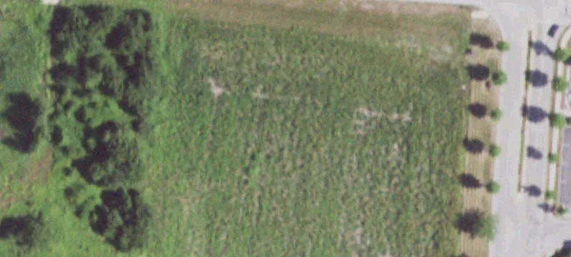Plano, IL 60545