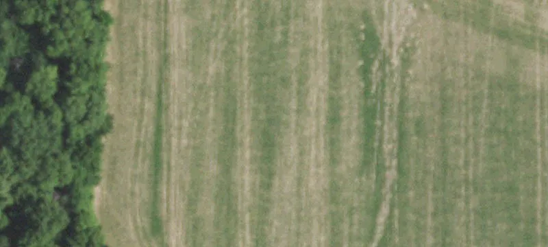 Pleasant Plains, IL 62677