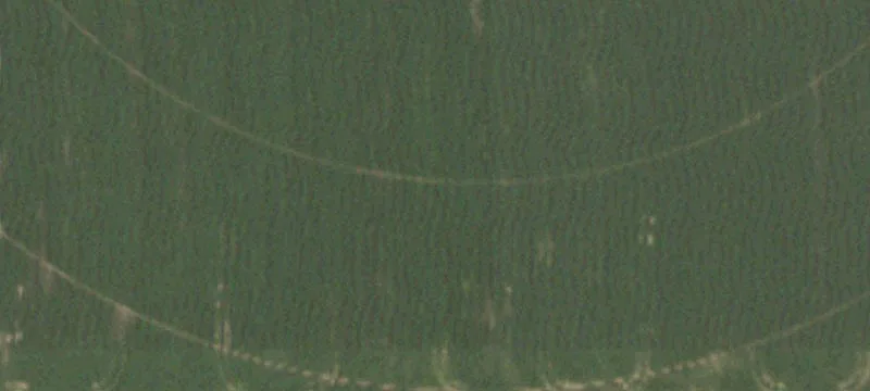 10994 3rd Mile Rd