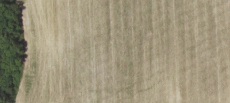 Shobonier, IL 62885