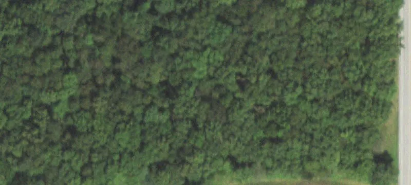 Springerton, IL 62887