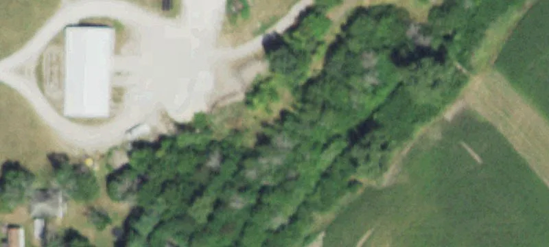 Emington, IL 60934