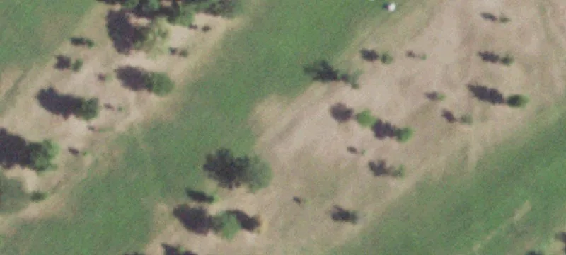 Dwight, IL 60420