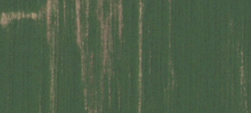 Walnut Hill, IL 62893