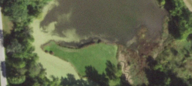 Cornell, IL 61319