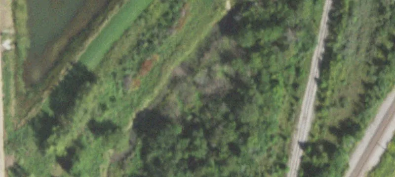 Walter Strawn Dr