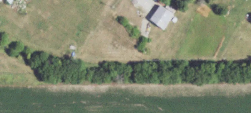 310 Morgan St