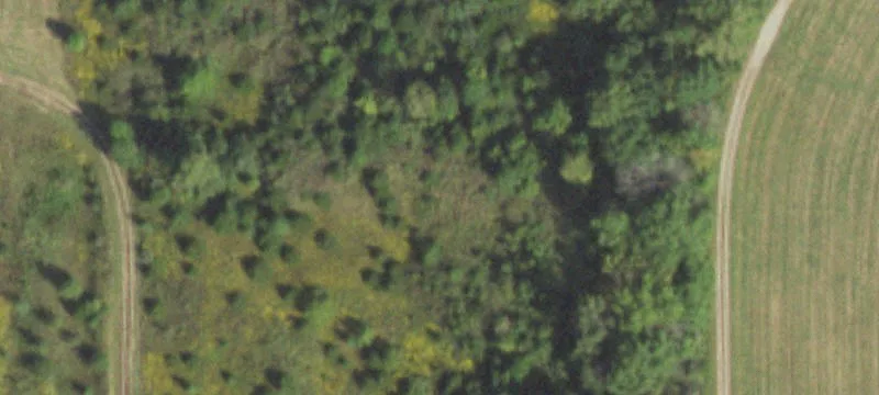 Texas Rd