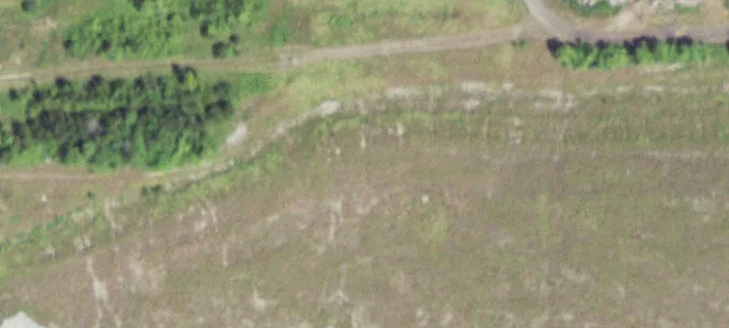 Ladd, IL 61329