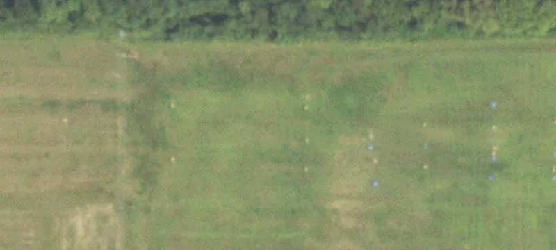 Grayville, IL 62844