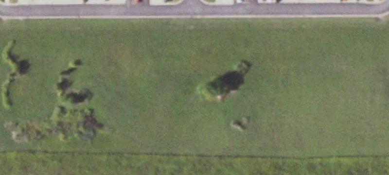 Savoy, IL 61874