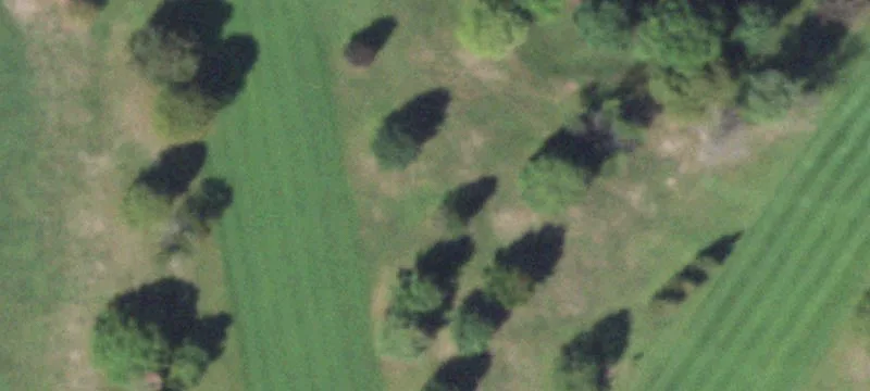 310 Country Clb Dr