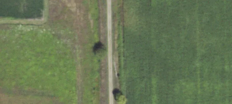 Forrest, IL 61741