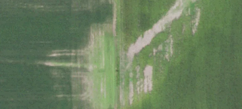 New Holland, IL 62671