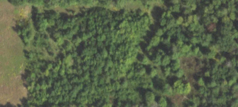 4162 Us Hwy 51