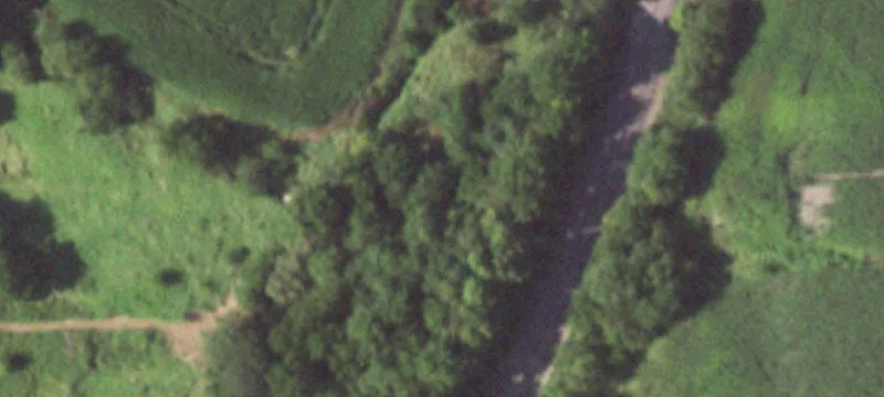 Lynn Center, IL 61262