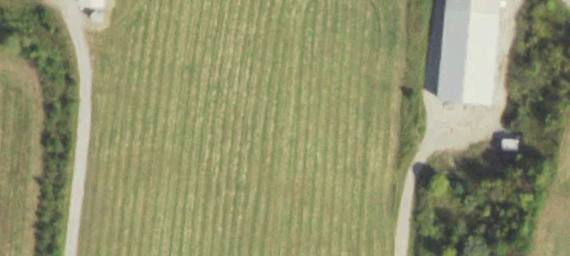 Odin, IL 62870