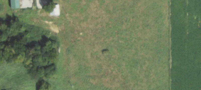 Enfield, IL 62835