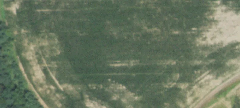 Canton, IL 61520