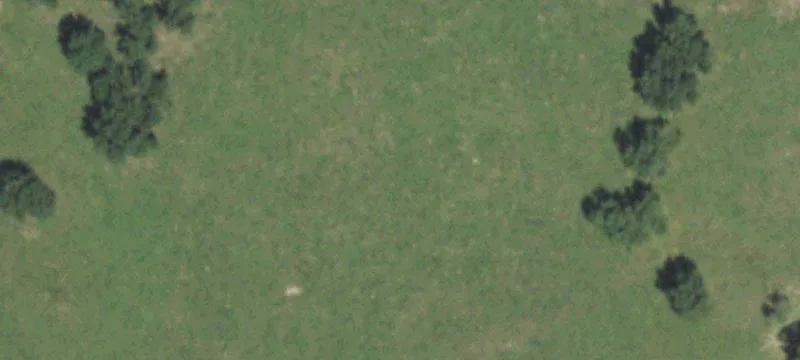 Athens, IL 62613