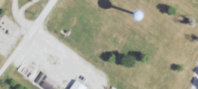 Odell, IL 60460