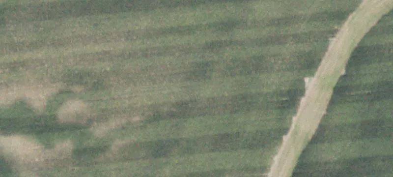 Secor, IL 61771