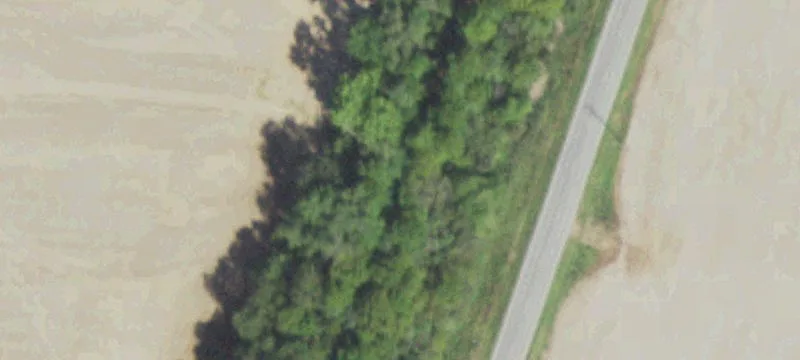 Norris City, IL 62869