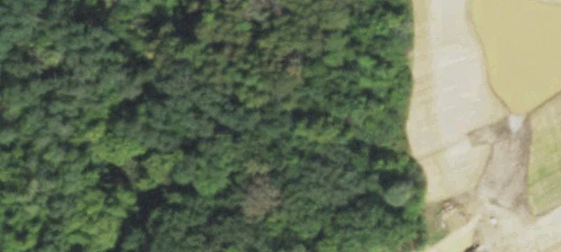 Rte 25