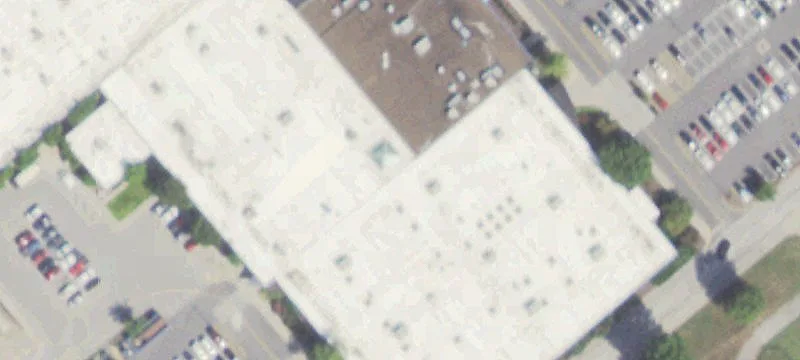 1239 Main St