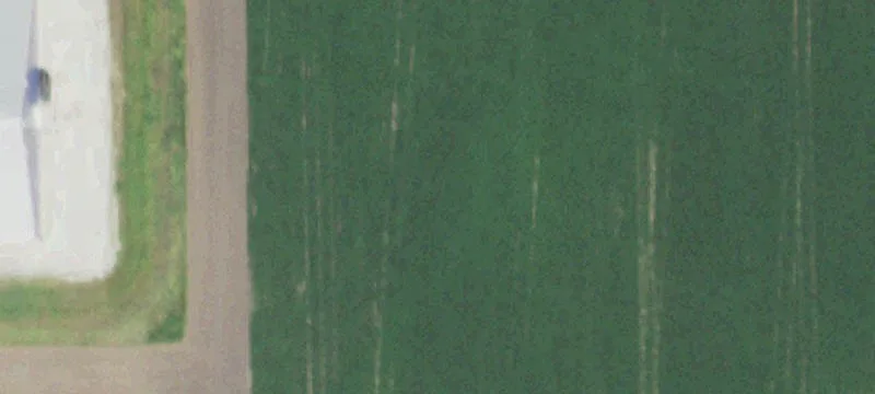 31051 3200th N Rd