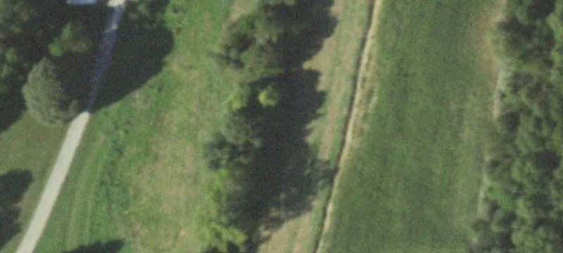 Newton, IL 62448