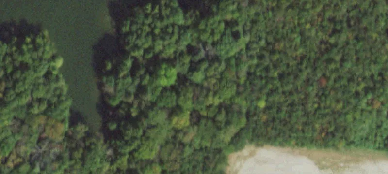 Newton, IL 62448