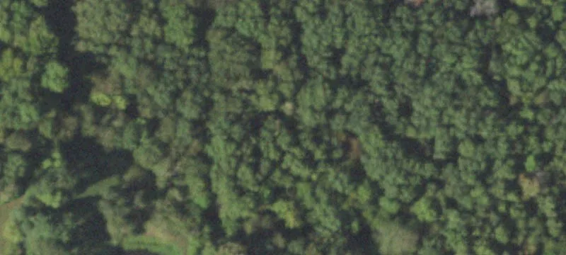 Newton, IL 62448