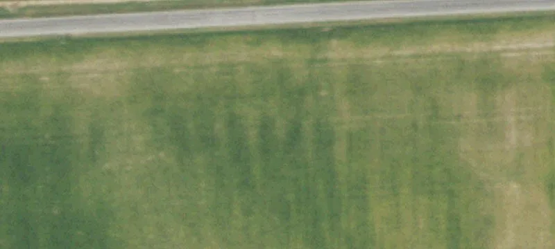 Yale, IL 62481