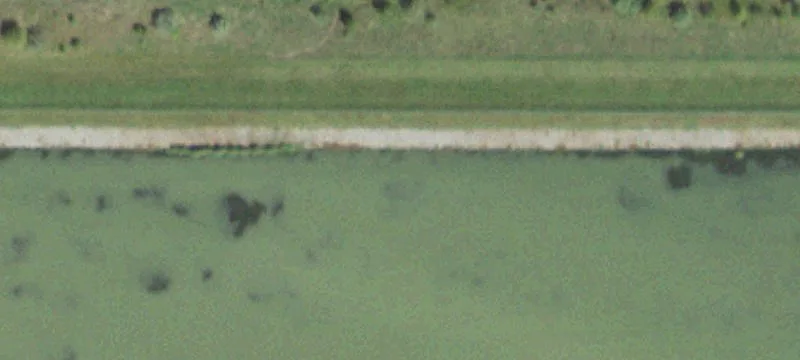 Newton, IL 62448
