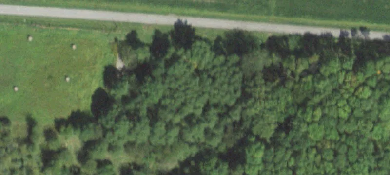 Newton, IL 62448