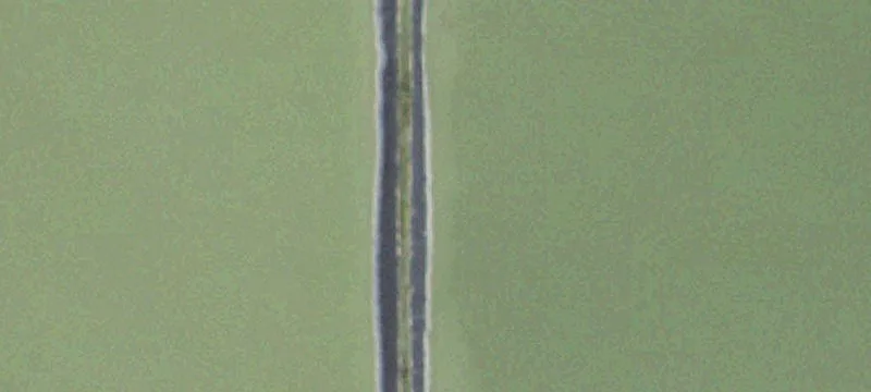 Newton, IL 62448