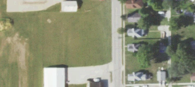 Sycamore