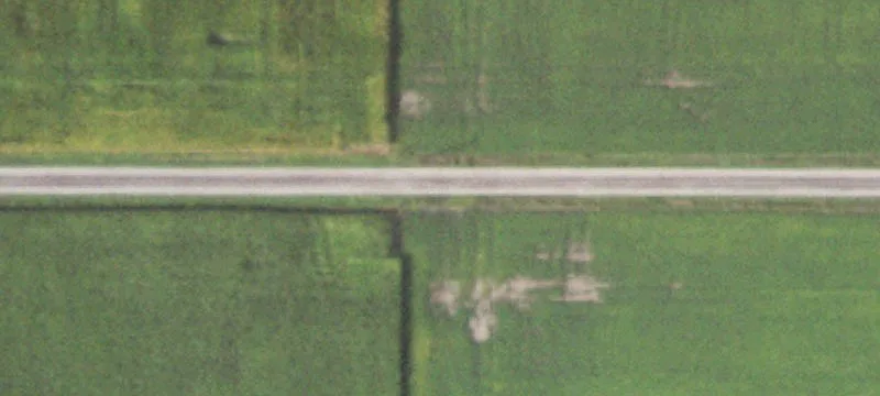 Tuscola, IL 61953