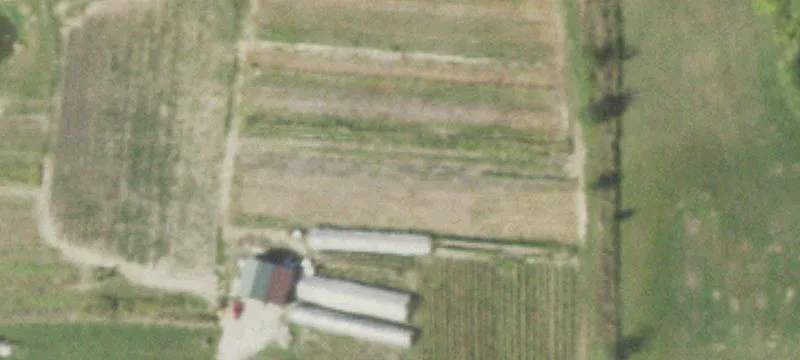 Villa Grove, IL 61956