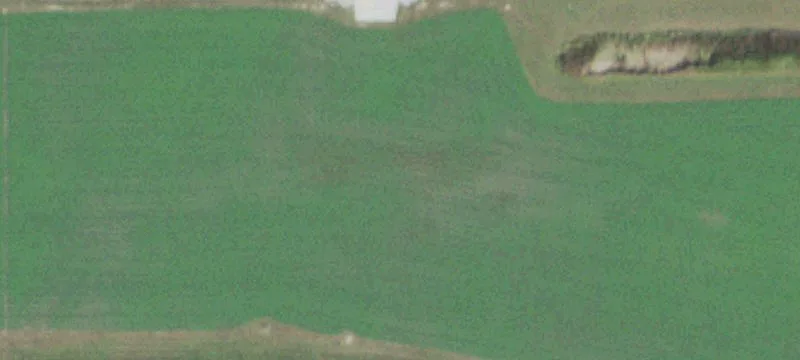 Arcola, IL 61910