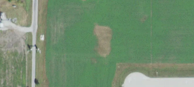 Arcola, IL 61910