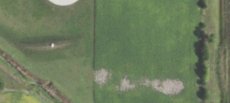 Tuscola, IL 61953
