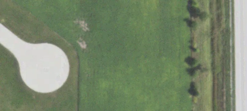 Tuscola, IL 61953