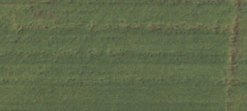 Arcola, IL 61910