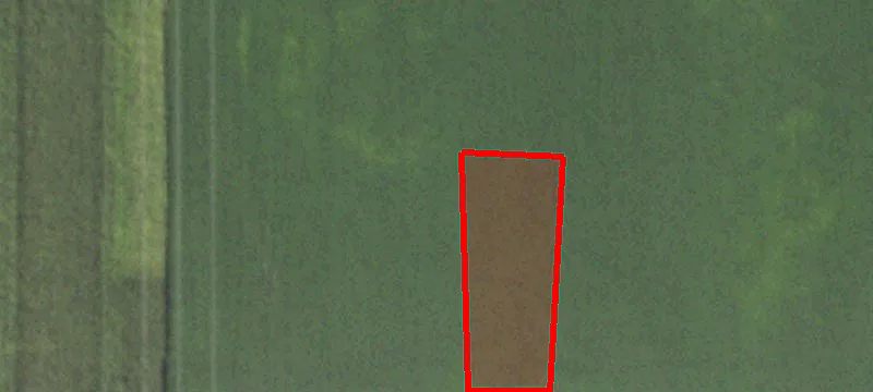 Newman, IL 61942