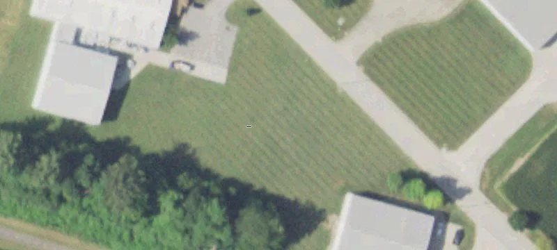 Amann Dr