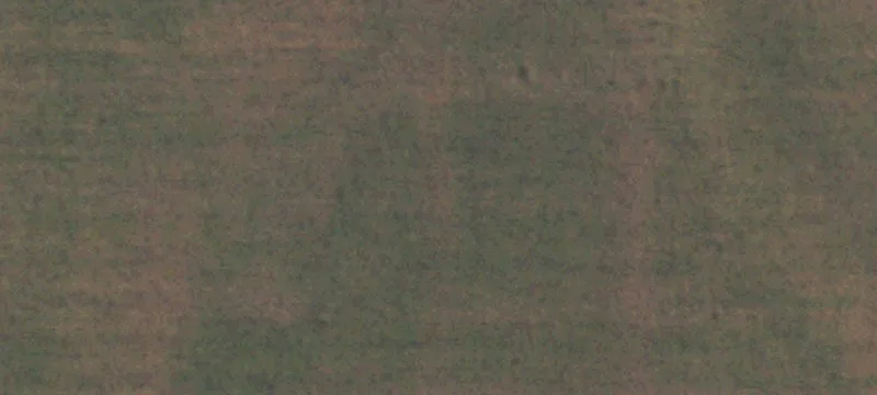 Saint Francisville, IL 62460