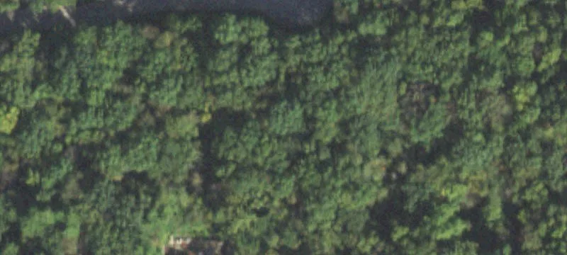 7111 Forest Oak Dr